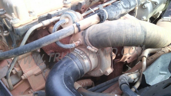 รถบรรทุก 6 ล้อดัมพ์ ISUZU NQR ปีจดทะเบียน 2548 รถบรรทุก 6 ล้อดัมพ์ ISUZU NQR ปีจดทะเบียน 2548