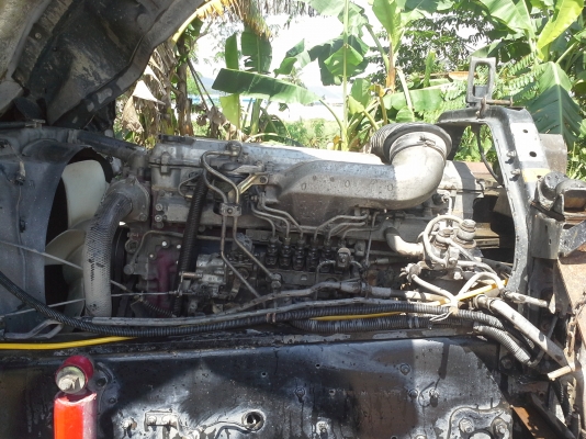 ขาย 1j พร้อมลูก ขาย 1j พร้อมลูก