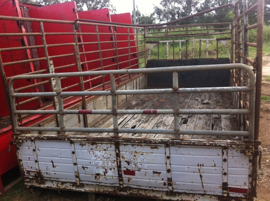 กระบะคาร์โก้ แผงเหล็ก ยกลงจาก ISUZU FRR