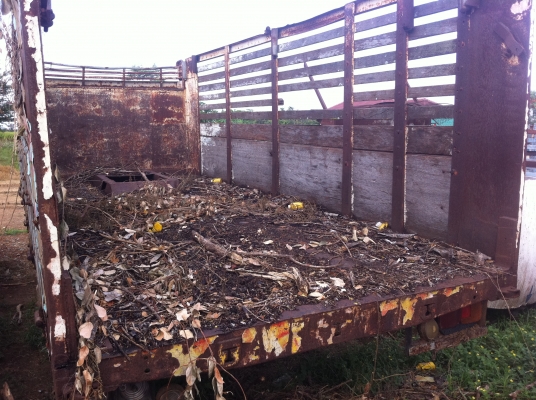 กระบะ 10 ล้อ ตามสภาพ กระบะ 10 ล้อ ตามสภาพ