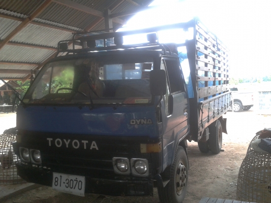 ขายด่วน TOYOTA DYNA