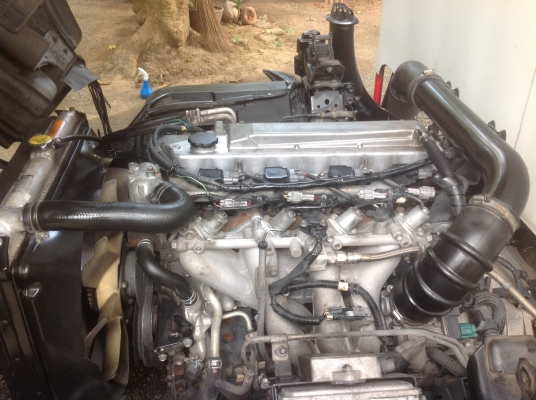 ขาย NPR CNG แท้โรงงาน ปี 52 ยาว 4.90 เมตร ราคา 630,000 บาท ขาย NPR CNG แท้โรงงาน ปี 52 ยาว 4.90 เมตร ราคา 630,000 บาท