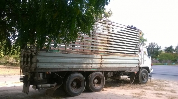 ขายรถล่องเพลาเดียว ROCKY 195 สภาพพร้อมใช้งาน พาวเวอร์ เบรคทิฟฟี่ ยางเต็ม ทะเบียนพร้อมโอนครับ ขายรถล่องเพลาเดียว ROCKY 195 สภาพพร้อมใช้งาน พาวเวอร์ เบรคทิฟฟี่ ยางเต็ม ทะเบียนพร้อมโอนครับ