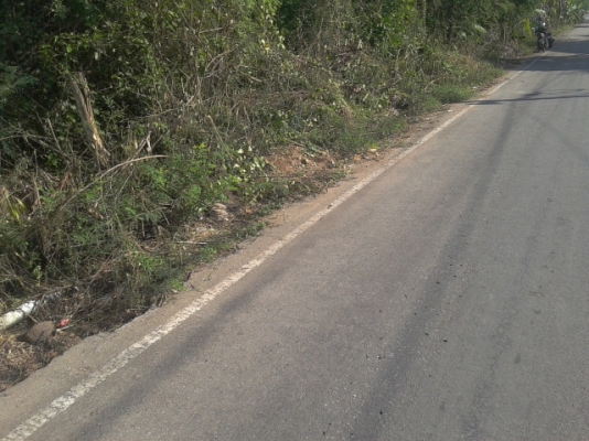 ที่ดินสมุทรสงคราม