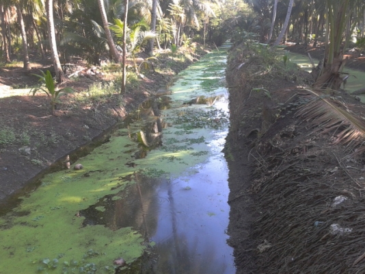 ที่ดินสมุทรสงคราม