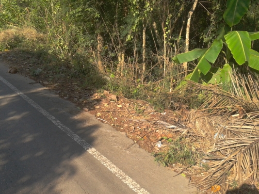 ที่ดินสมุทรสงคราม