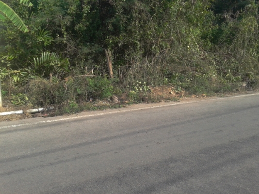 ที่ดินสมุทรสงคราม