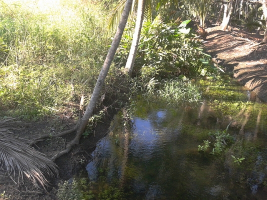 ที่ดินสมุทรสงคราม