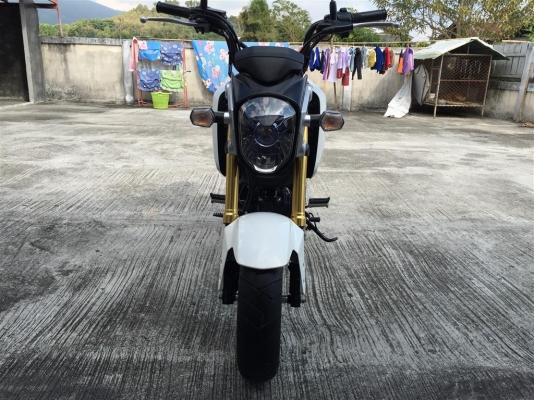 ขายMSX 125 สีขาว ราคา55,x00