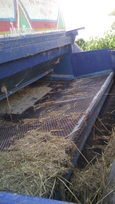 ขายตู้สีข้าว7ฟุตเกษตรพัตรนา