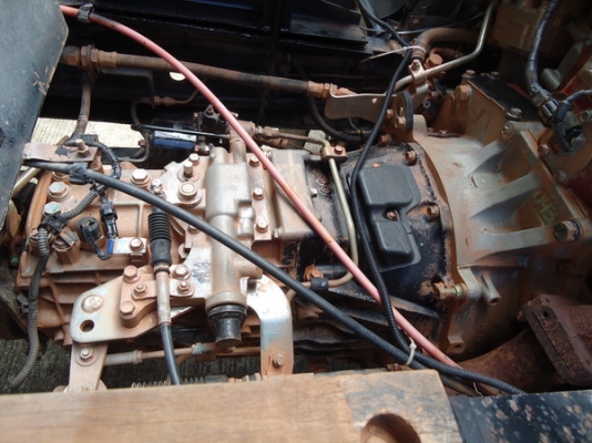 ขายดว่น ๆๆ ขายดว่น ๆๆ