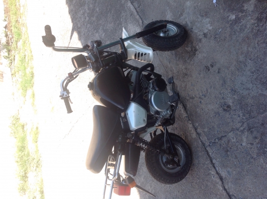 ขาย yamaha poky