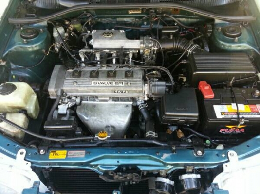 โคโรน่า 96 มือเดียว วิ่งน้อย ผู้หญิงใช้