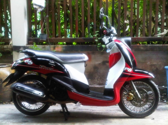 ขาย ฟีโน่ เอกสารครบ 17,500