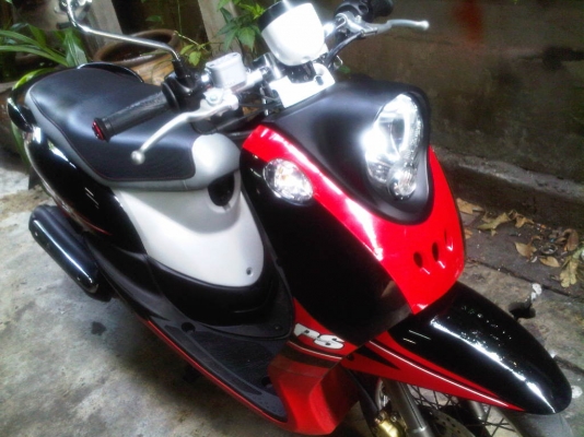 ขาย ฟีโน่ เอกสารครบ 17,500