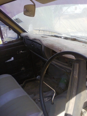 ขายช้างเหยียบ25000