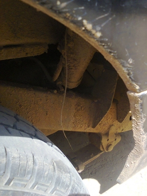 ขายช้างเหยียบ25000