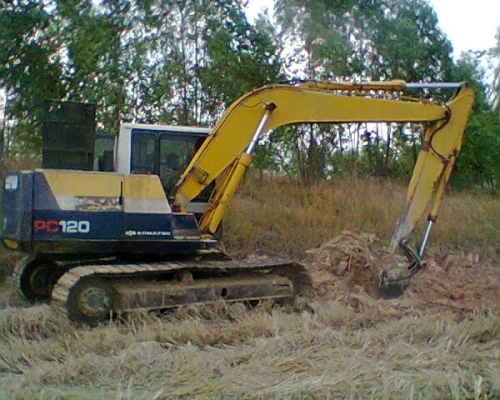 ขายโคมัสสุ 120-5