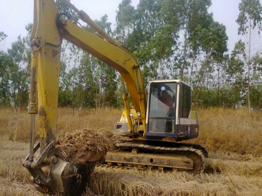 ขายโคมัสสุ 120-5