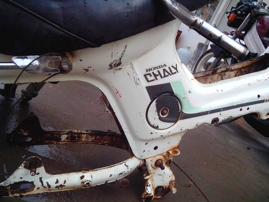 ขายหมดแล้วครับ โครงขาวส่ง ชลบุรี ขอบคุณพี่เสื้อครับ