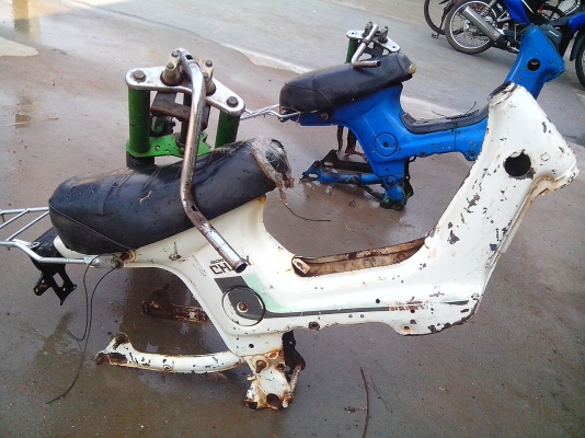 ขายหมดแล้วครับ โครงขาวส่ง ชลบุรี ขอบคุณพี่เสื้อครับ