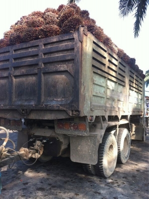 รถอิซูซุ 10 ล้อดั๊ม  FXZ  210 แรงม้า  ( ขายแม่ลูก )  สนใจติดต่อ 081 - 6079515