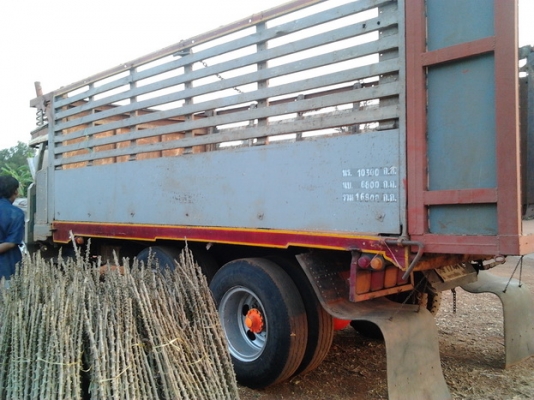 ISUZU TX เครื่อง 185 HP TURBO HO6C รถหัวยาวสิบล้อดั๊มพ์ 2 เพลา กระบะดั๊มพ์คอกสูงเกษตร 12 ตันสภาพสวยพื้นกับฝาข้างไม่มีผุกร่อน เครื่องแน่นแรงดีไม่มีเยิ้มลงเล่มครบถูกต้อง หัวเก๋งประตูเหล็กไม่มีผุภายในสวยครบ พวงมาลัยเพาเวอร์ ช่วงล่างชุดเฟืองท้ายของ ISUZU จัมโ