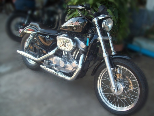 &diams;&diams;&diams;H-D Sporter 883 (หลุดมัดจำ) เชิญติดต่อด้านใน &diams;&diams;&diams;