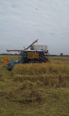 ขาย รถเกี่ยวข้าวไทยเจริญการช่าง