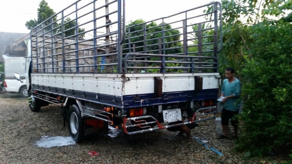 6 ล้อ ISUZU NQR 175 Fหน้า-หลัง