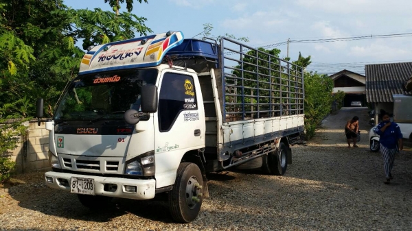 6 ล้อ ISUZU NQR 175 Fหน้า-หลัง