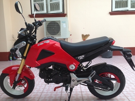 ขายHonda MSX.125รถศูนย์มือเดียวออกห้าง ไม่เคยล้ม ไม่แปะ ไม่ชน วิ่งน้อยสภาพสวยมากเหมือนรถออกใหม่ครับ