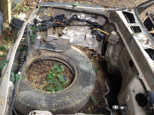 หัวเก๋งไทเกอร์แคป