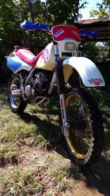 ขาย xr 250 R ปี 91 ขาย xr 250 R ปี 91