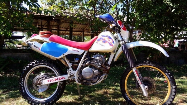 ขาย xr 250 R ปี 91 ขาย xr 250 R ปี 91