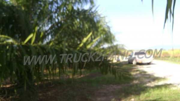 ขายสวนปาล์ม 16 ไร่ 2 งาน ปาล์มรับผลแล้ว อยู่ติดถนน. ขายถูก ไร่ละ 210,000 บาท ขายสวนปาล์ม 16 ไร่ 2 งาน ปาล์มรับผลแล้ว อยู่ติดถนน. ขายถูก ไร่ละ 210,000 บาท