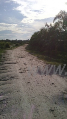 ขายสวนปาล์ม 16 ไร่ 2 งาน ปาล์มรับผลแล้ว อยู่ติดถนน. ขายถูก ไร่ละ 210,000 บาท ขายสวนปาล์ม 16 ไร่ 2 งาน ปาล์มรับผลแล้ว อยู่ติดถนน. ขายถูก ไร่ละ 210,000 บาท