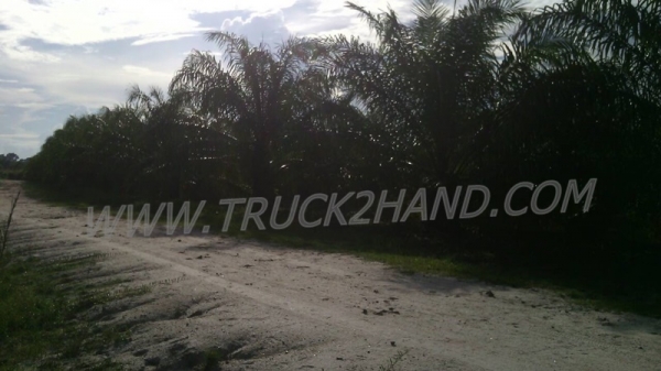 ขายสวนปาล์ม 16 ไร่ 2 งาน ปาล์มรับผลแล้ว อยู่ติดถนน. ขายถูก ไร่ละ 210,000 บาท ขายสวนปาล์ม 16 ไร่ 2 งาน ปาล์มรับผลแล้ว อยู่ติดถนน. ขายถูก ไร่ละ 210,000 บาท