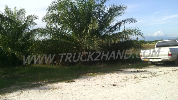 ขายสวนปาล์ม 16 ไร่ 2 งาน ปาล์มรับผลแล้ว อยู่ติดถนน. ขายถูก ไร่ละ 210,000 บาท ขายสวนปาล์ม 16 ไร่ 2 งาน ปาล์มรับผลแล้ว อยู่ติดถนน. ขายถูก ไร่ละ 210,000 บาท