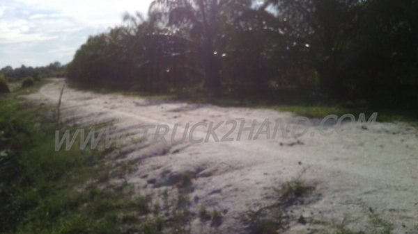 ขายสวนปาล์ม 16 ไร่ 2 งาน ปาล์มรับผลแล้ว อยู่ติดถนน. ขายถูก ไร่ละ 210,000 บาท ขายสวนปาล์ม 16 ไร่ 2 งาน ปาล์มรับผลแล้ว อยู่ติดถนน. ขายถูก ไร่ละ 210,000 บาท