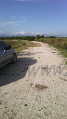 ขายสวนปาล์ม 16 ไร่ 2 งาน ปาล์มรับผลแล้ว อยู่ติดถนน. ขายถูก ไร่ละ 210,000 บาท ขายสวนปาล์ม 16 ไร่ 2 งาน ปาล์มรับผลแล้ว อยู่ติดถนน. ขายถูก ไร่ละ 210,000 บาท