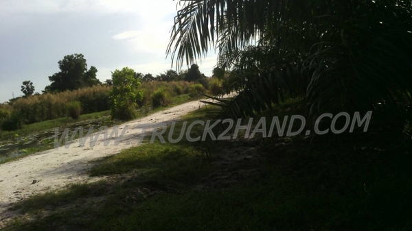 ขายสวนปาล์ม 16 ไร่ 2 งาน ปาล์มรับผลแล้ว อยู่ติดถนน. ขายถูก ไร่ละ 210,000 บาท ขายสวนปาล์ม 16 ไร่ 2 งาน ปาล์มรับผลแล้ว อยู่ติดถนน. ขายถูก ไร่ละ 210,000 บาท