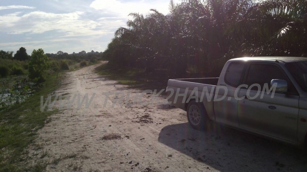 ขายสวนปาล์ม 16 ไร่ 2 งาน ปาล์มรับผลแล้ว อยู่ติดถนน. ขายถูก ไร่ละ 210,000 บาท ขายสวนปาล์ม 16 ไร่ 2 งาน ปาล์มรับผลแล้ว อยู่ติดถนน. ขายถูก ไร่ละ 210,000 บาท