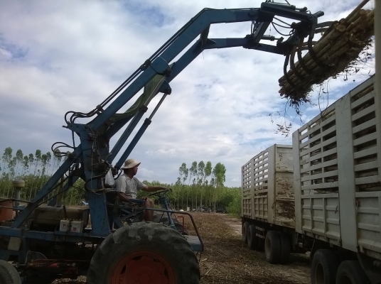 ขายรถไถคีบไม้ ลดราคาเหลือ 260000 และขายหรือให้เช่าตาชั่ง ขายรถไถคีบไม้ ลดราคาเหลือ 260000 และขายหรือให้เช่าตาชั่ง