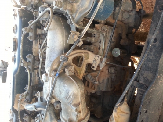 ขายดั้มสั่งลุย495000