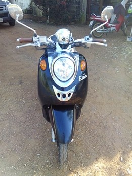 ฟีโน่ปี52+หลักฐานการส่งคับ