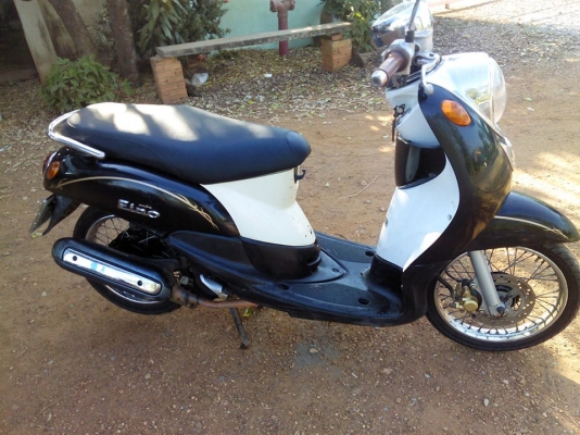 ฟีโน่ปี52+หลักฐานการส่งคับ