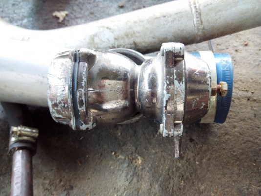 ขายโบออฟวาวเสียงเพาะๆ 1500คับ