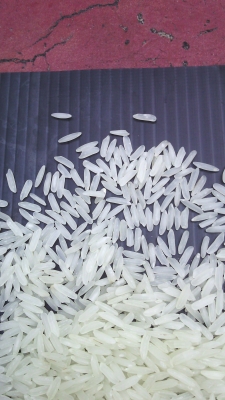 ขายข้าวต้นหอมปทุมใหม่,ซาห่อ,ท่อน