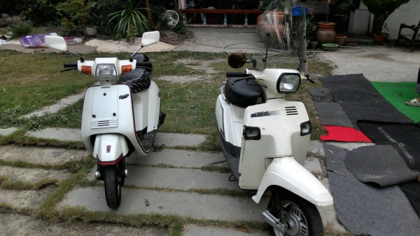 รถป๊อปโบราณ คราสสิค รุ่นหายาก มีชิวหน้าให้ด้วย ชอบจิงต่อรองได้